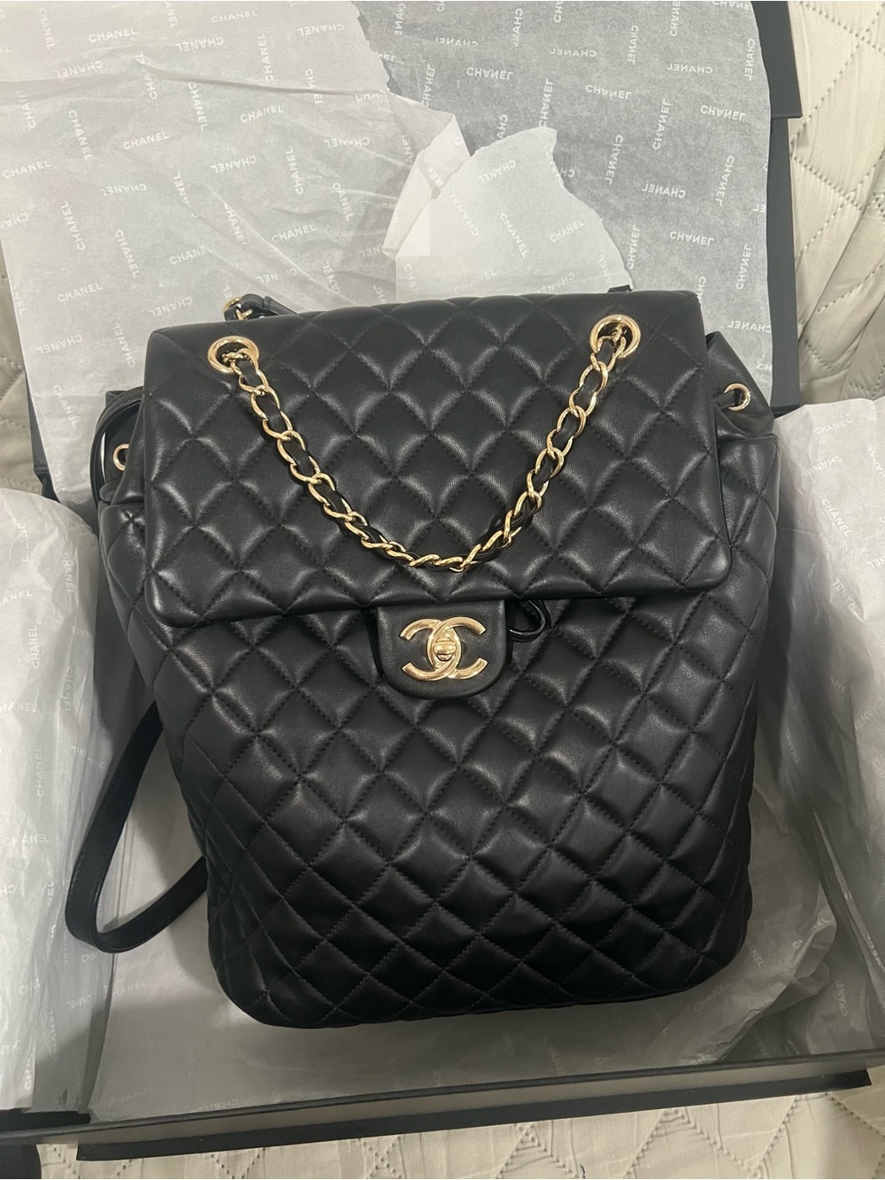 Chanel Quilted Lambskin Backpack - Picture 8 of 10